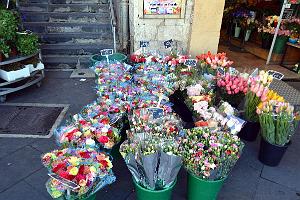 013- Vieux Nice 
